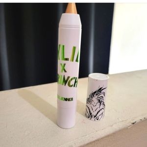 Kylie grinch eye shadow stick
